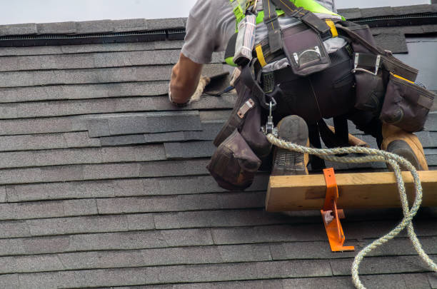 Best Roof Gutter Cleaning  in Wilburton, OK