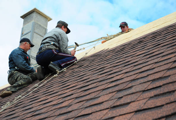 Best Roof Maintenance Services  in Wilburton, OK